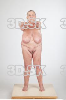 Body texture of Shelia 0037